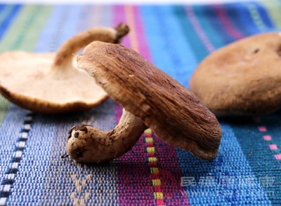 香菇中的膳食纤维丰富，可以促进肠道蠕动，帮助排出体内的废物