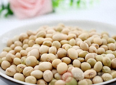 黄豆被誉为“植物肉”，富含优质蛋白质、多种维生素、碳水化合物、脂肪以及微量元素