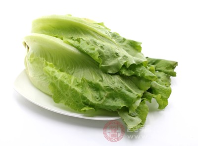 生菜叶还可以消化人体脂肪，保护脾胃，有利尿液循环