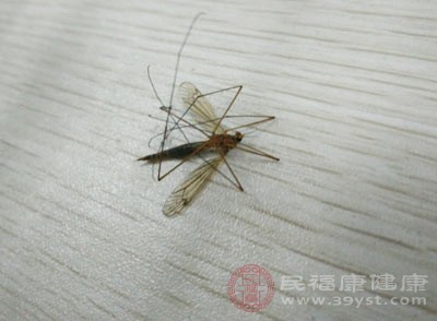 蚊子是一种对热量比较敏感的生物