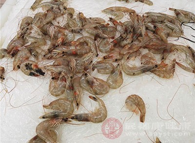 河虾主要生活在淡水环境中，如江河、湖泊等