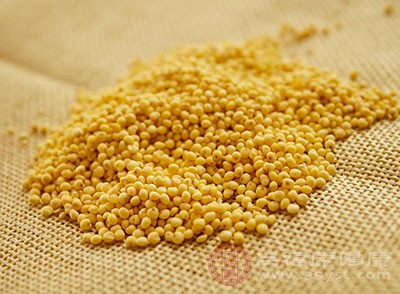 小米是生活中常见的一种食物，蕴含丰富的营养成分