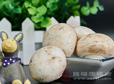 口蘑是一种菌类食物，营养丰富