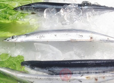 日本人都喜欢吃秋刀鱼 原因是什么 和他们长寿有关系吗