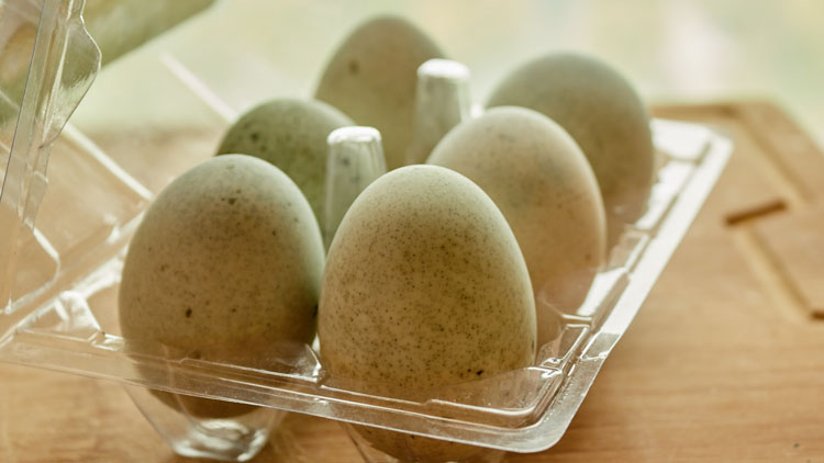 孕妇能吃皮蛋吗