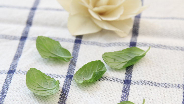 薄荷的功效与作用有哪些