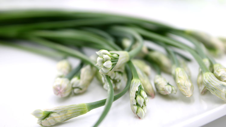 韭菜花的功效有哪些