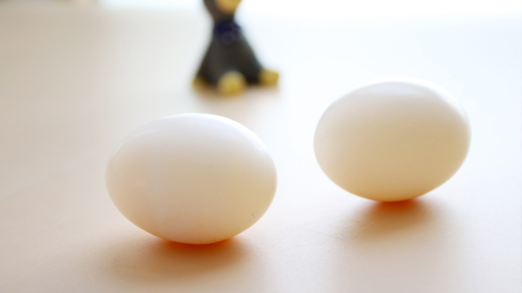 鸽子蛋的营养价值及功效有哪些