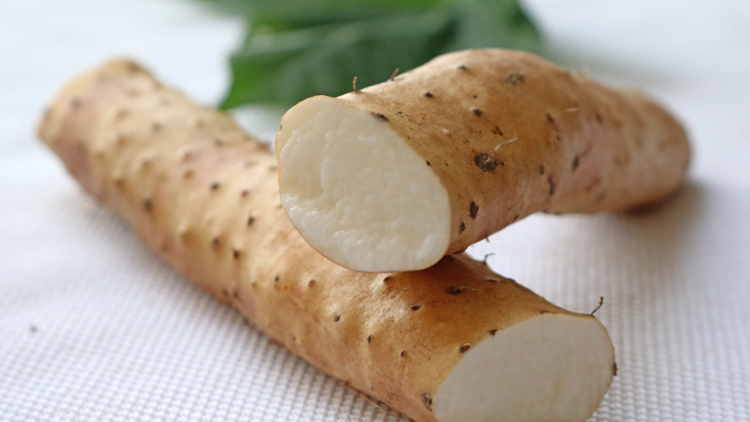 山药的功效与作用是什么