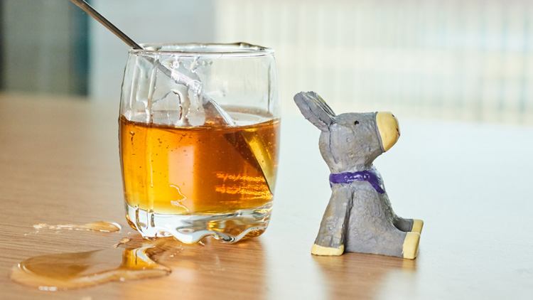 怀孕不能吃什么