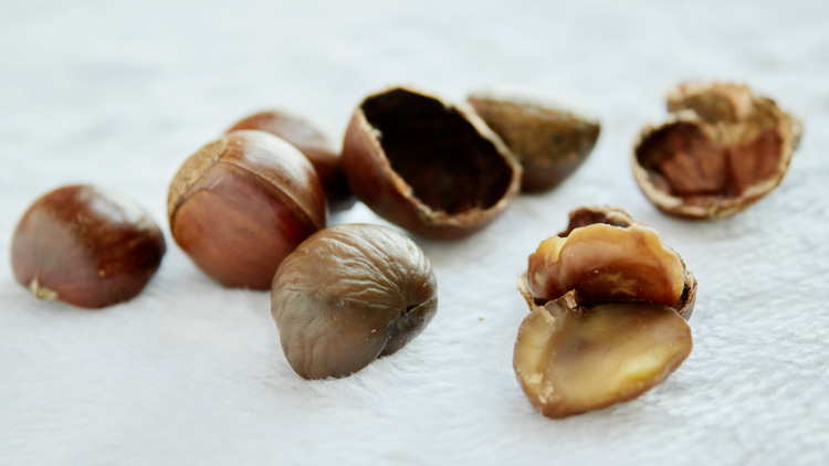 孕妇可以吃板栗吗