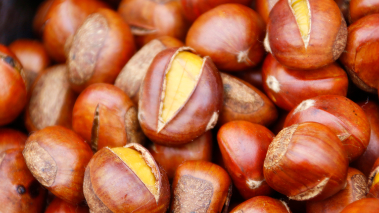 栗子的功效有哪些