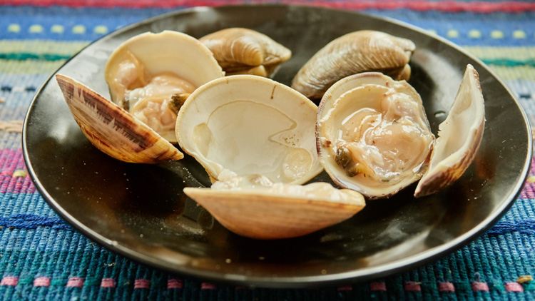 孕妇能吃扇贝吗