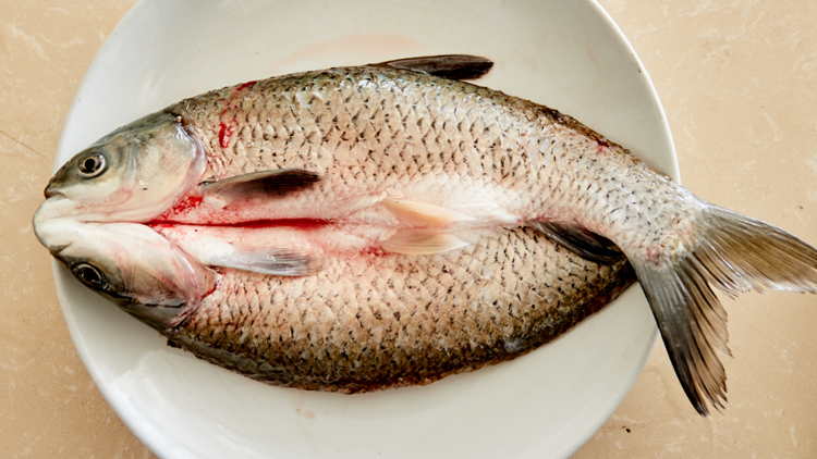 孕妇吃什么鱼好