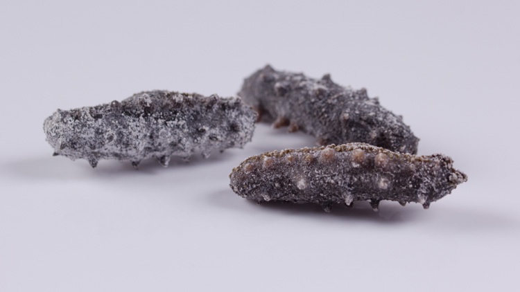 海参功效是什么