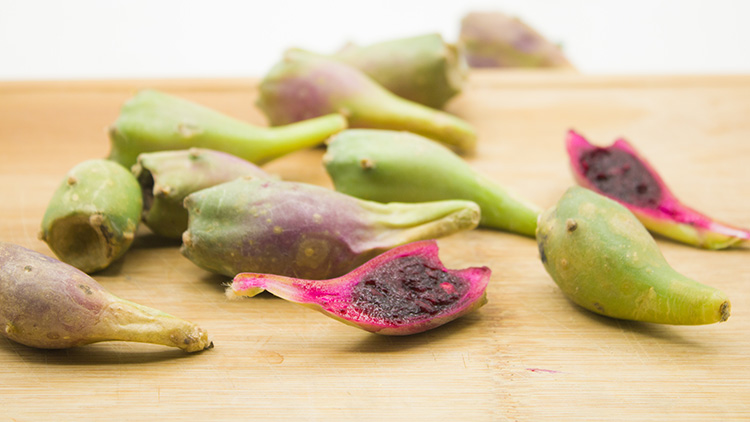 仙人掌果的功效与作用有哪些