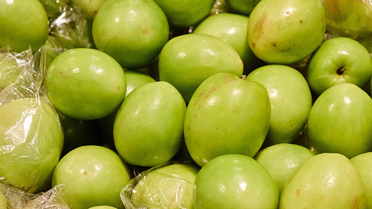 青枣的功效与作用有哪些