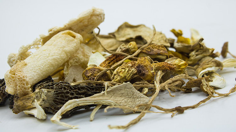 羊肚菌的功效有哪些