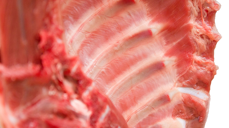 狗肉的功效与作用