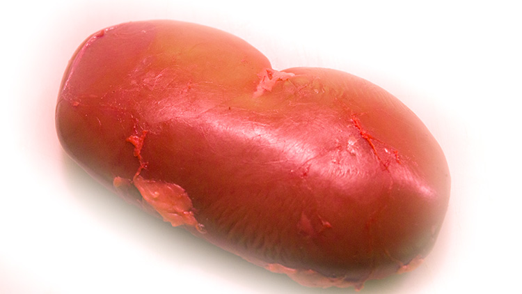 羊腰子的功效有哪些