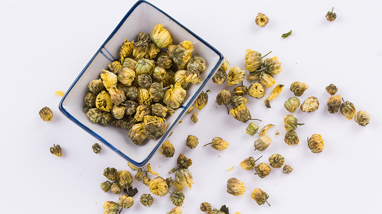 胎菊的功效与作用有哪些