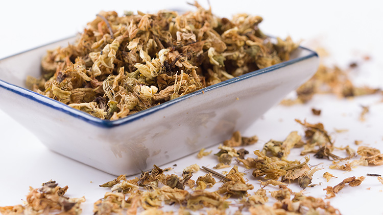 槐花的功效与作用有哪些