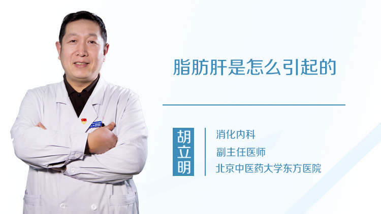 脂肪肝是怎么引起的