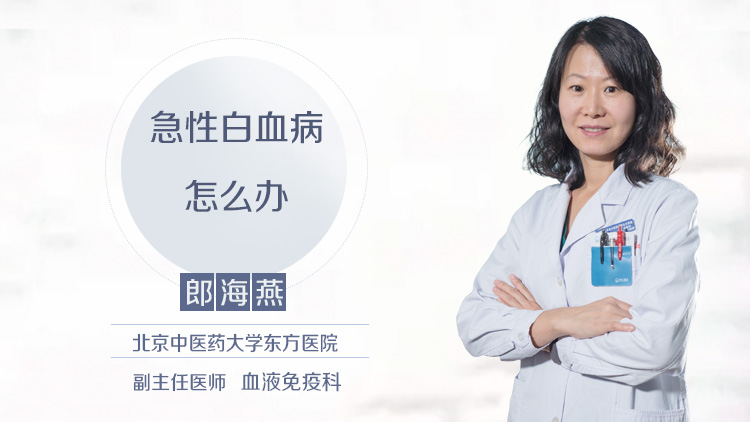 急性白血病怎么办