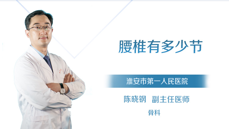 腰椎有多少节