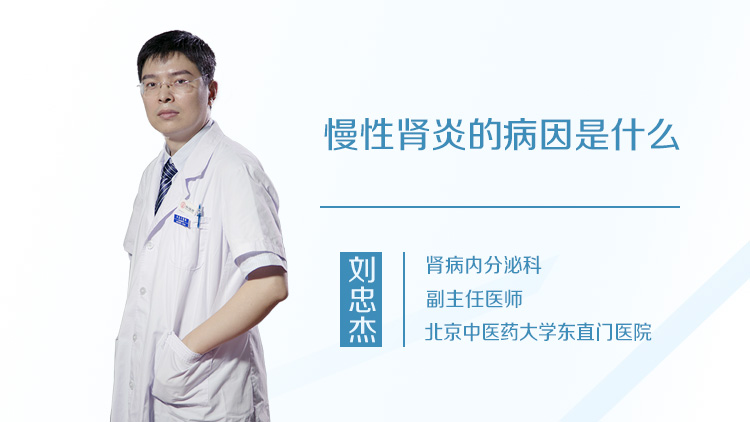 慢性肾炎的病因是什么