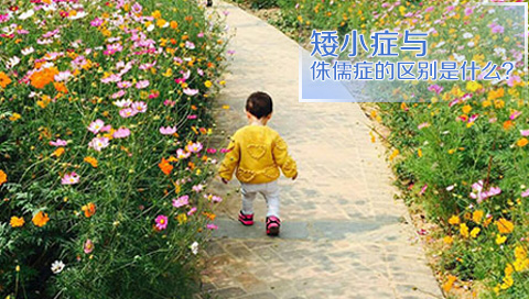 矮小症与侏儒症的区别是什么