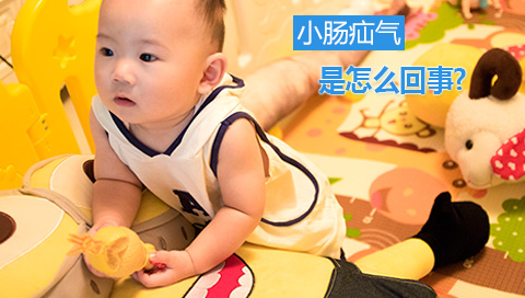 小肠疝气是怎么回事