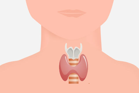 甲状腺结节是一种常见的甲状腺疾病