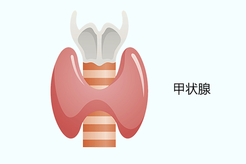 最常用的分类是按病因分为5类：结节性甲状腺肿、炎性结节、毒性结节性甲状腺肿、甲状腺囊肿、甲状腺肿瘤。