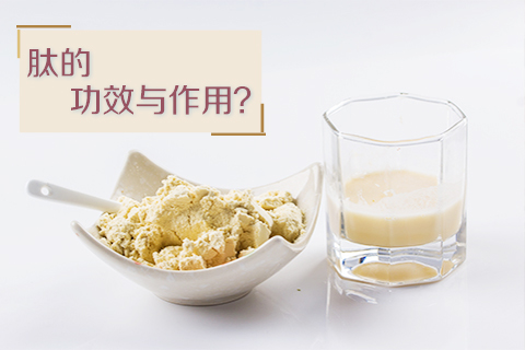 肽的功效与作用