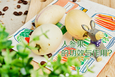 人参果的功效与作用