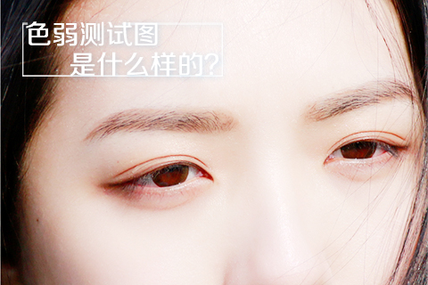 色弱测试图是什么样的