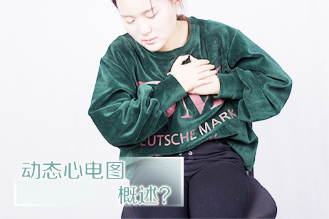 动态心电图概述