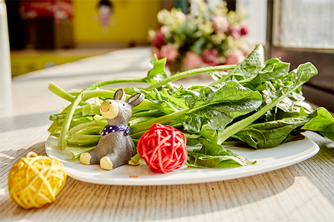 经常食用菠菜可以补充身体所需的铁以及维生素等物质