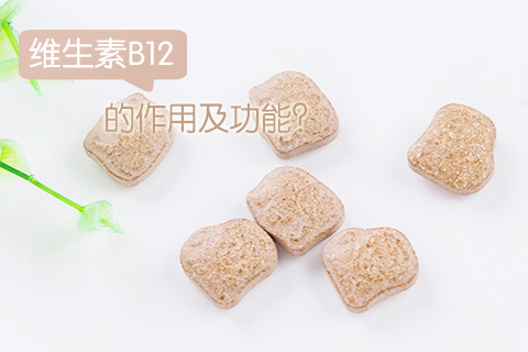 维生素b12的作用及功能