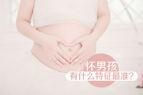 怀男孩有什么特征最准