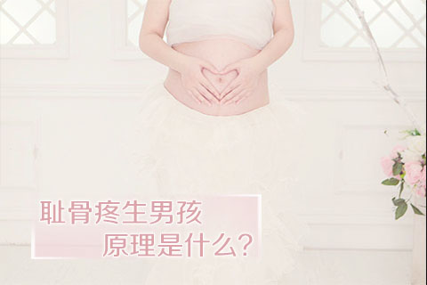耻骨疼生男孩原理是什么