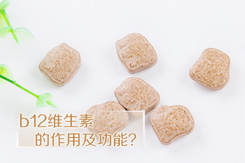 b12维生素的作用及功能