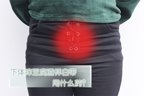 下体痒豆腐渣样的白带用什么药
