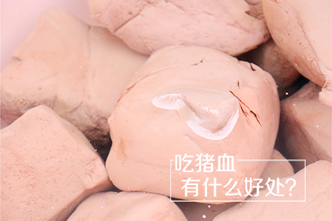 吃猪血有什么好处