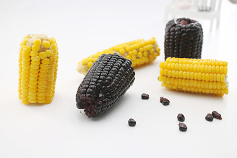 玉米中含有的营养物质可以很好的软化血管，预防血管硬化