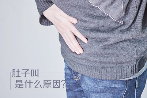 肚子叫是什么原因