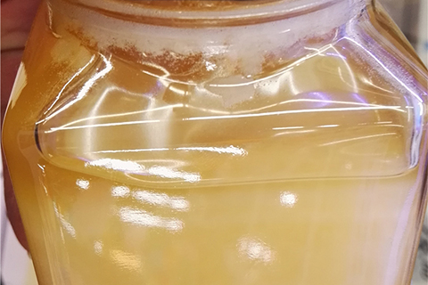 蜂王浆又叫做蜂皇浆，是蜂巢中青年工蜂咽头腺的分泌物