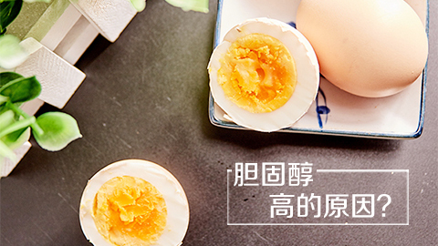 胆固醇高的原因