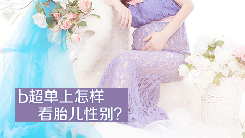 b超单上怎样看胎儿性别